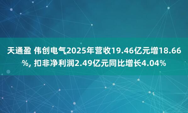 天通盈 伟创电气2025年营收19.46亿元增18.66%, 扣非净利润2.49亿元同比增长4.04%