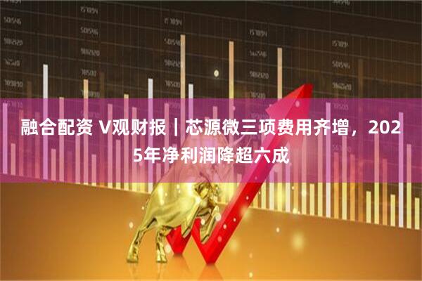 融合配资 V观财报｜芯源微三项费用齐增，2025年净利润降超六成