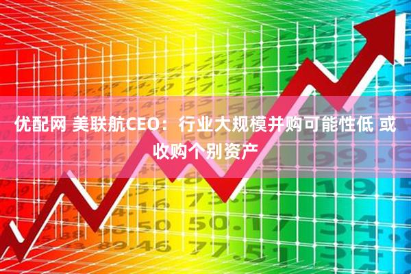 优配网 美联航CEO：行业大规模并购可能性低 或收购个别资产