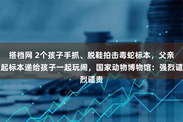 搭档网 2个孩子手抓、脱鞋拍击毒蛇标本，父亲拿起标本递给孩子一起玩闹，国家动物博物馆：强烈谴责